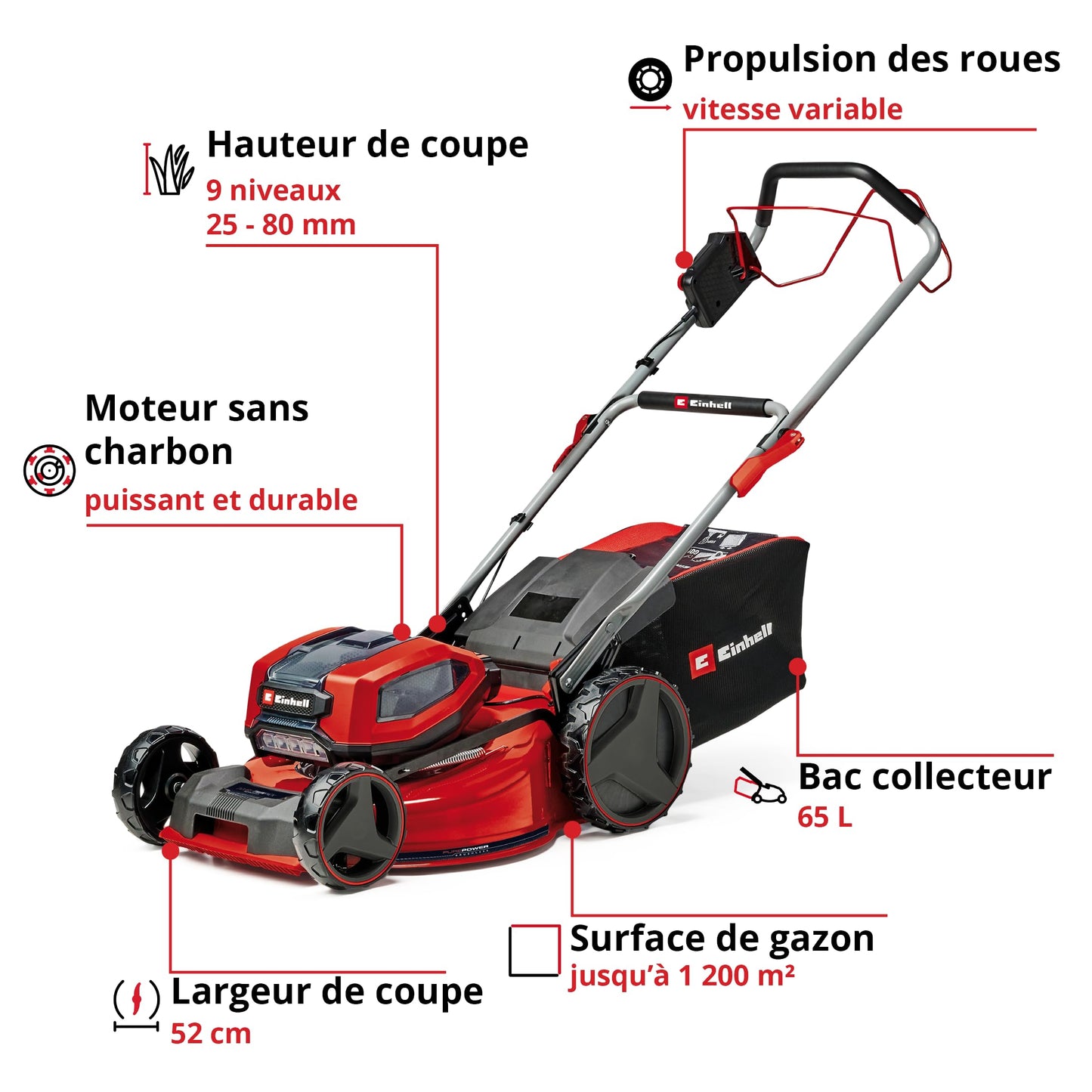 Tondeuse sans fil Einhell GP-CM 36/52 S Li BL – 52 cm, 36V, 4 Batteries 5,2Ah